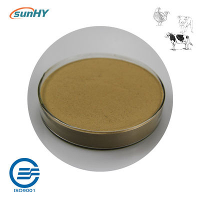 10 Billion Cfu/G Bacillus Coagulans Probiotics For Animal High Concentrate