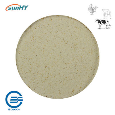 Complex 20 Billion Cfu/G Probiotics For Animal Powder Form
