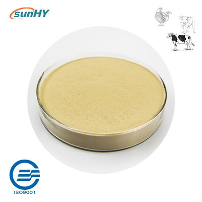 Water Soluble Probiotics In Drinking Water For Improving Animal Intestinal Health