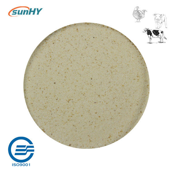 Complex 20 Billion Cfu/G Probiotics For Animal Powder Form